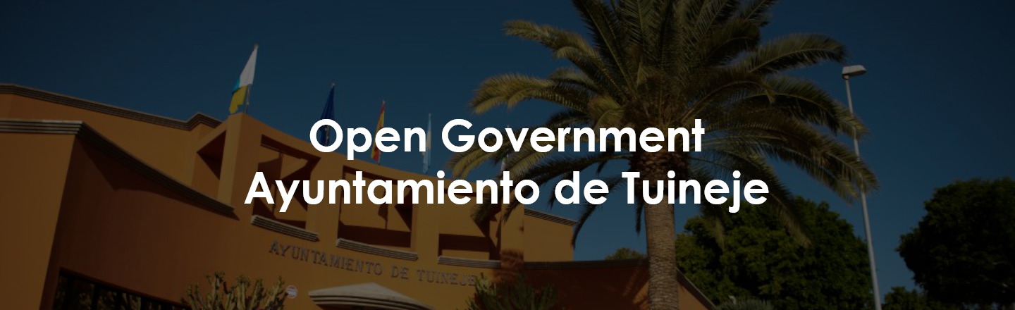 Open Government Portal Tuineje City Council